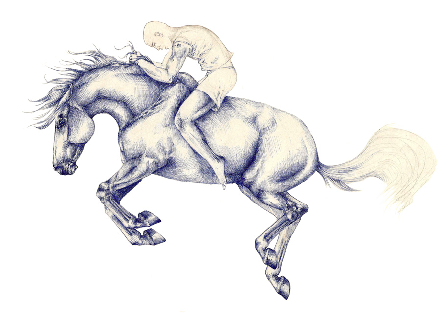 Kugelschreiberzeichnung Mann reitet buckelndes Pferd Pferdeportrait Fineart Horses
